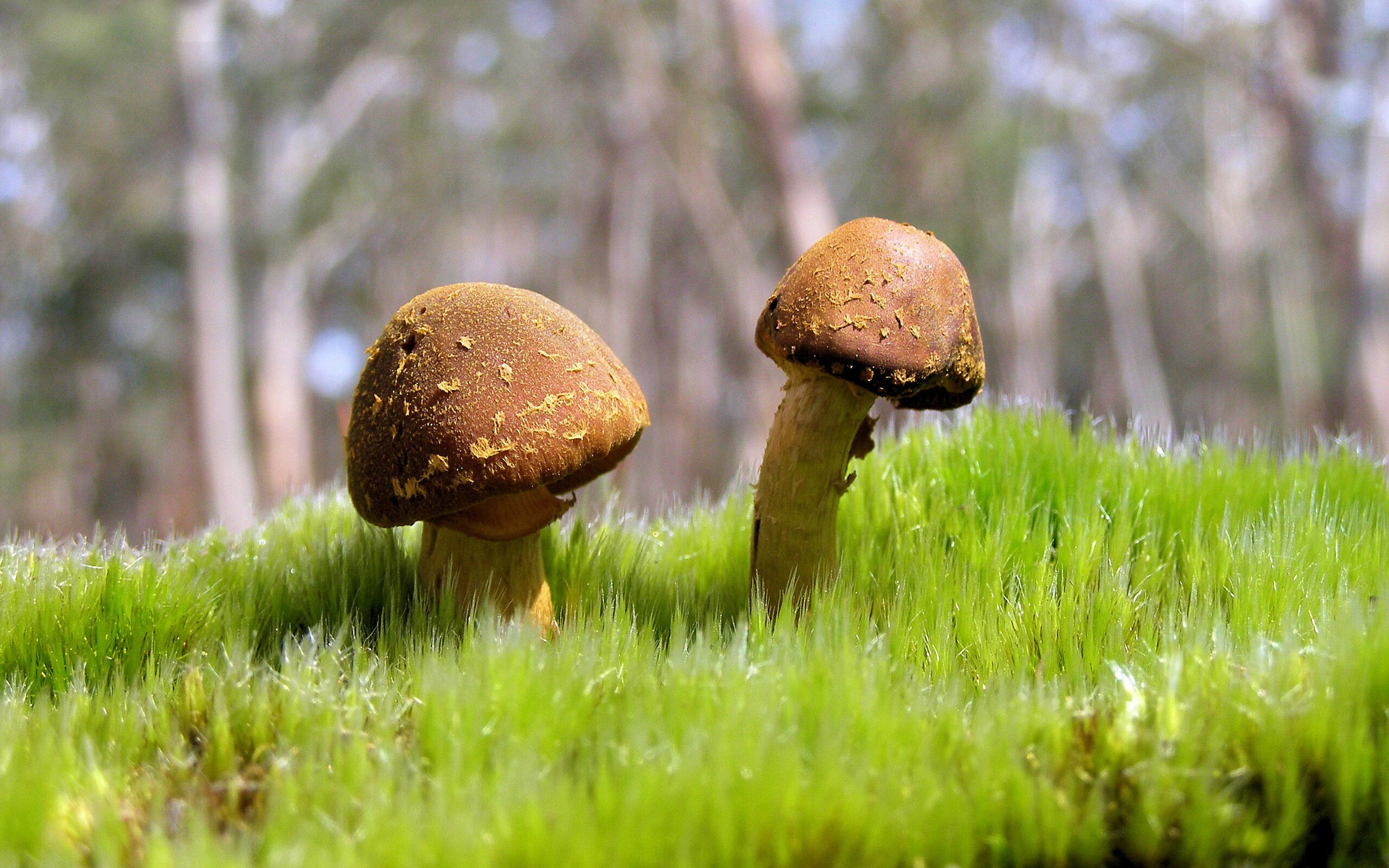 kaiyun网址-CBA联盟积极举办各类篮球公益活动，篮球公益活动主题