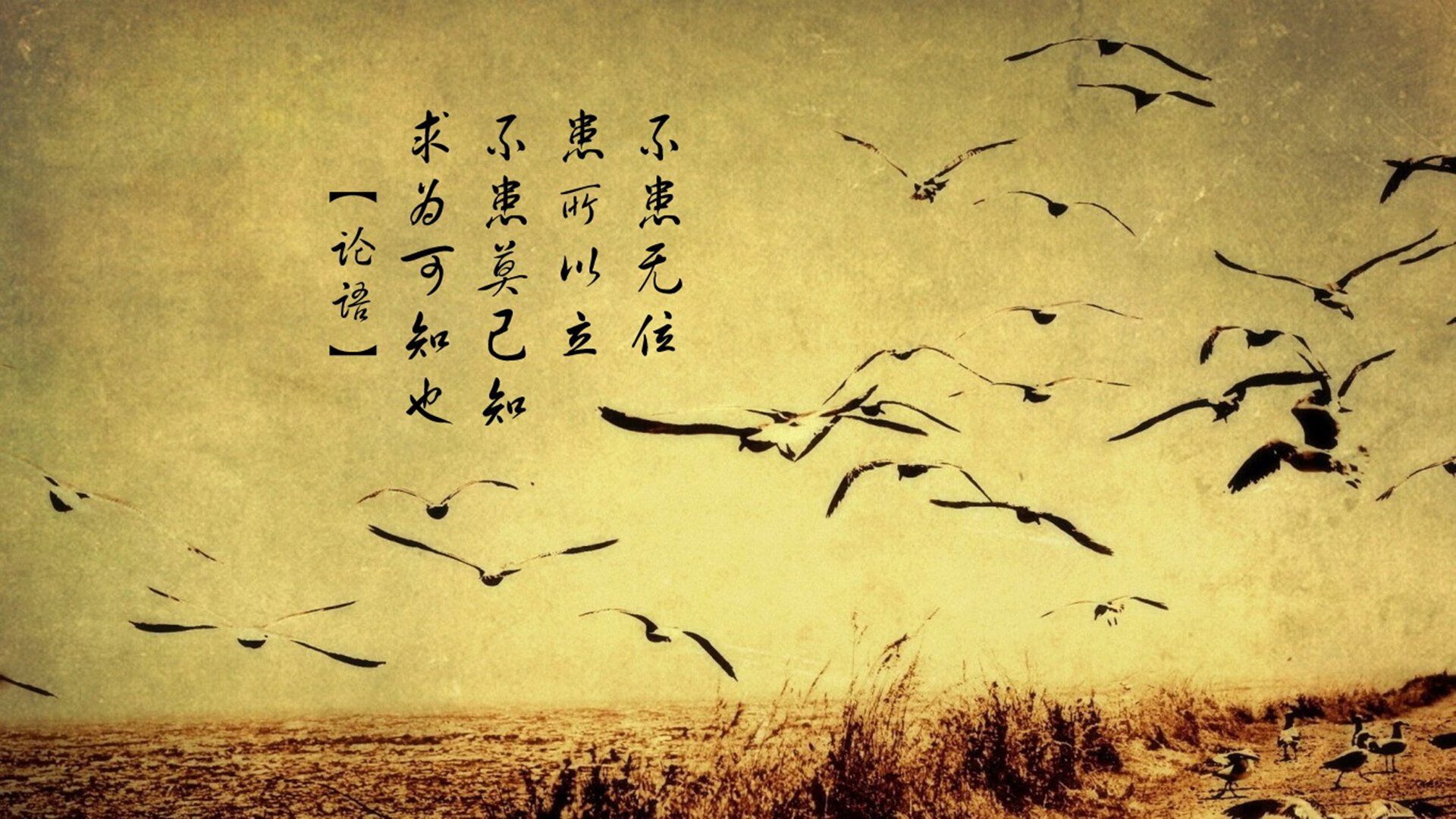 开云在线入口-中国男篮强化控球能力 控制比赛节奏，中国男篮强化控球能力 控制比赛节奏是多少