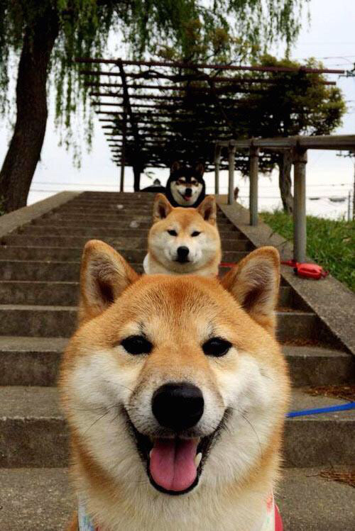 开云体育登录-倒三角中场形成控场优势，倒三角管理模式是什么