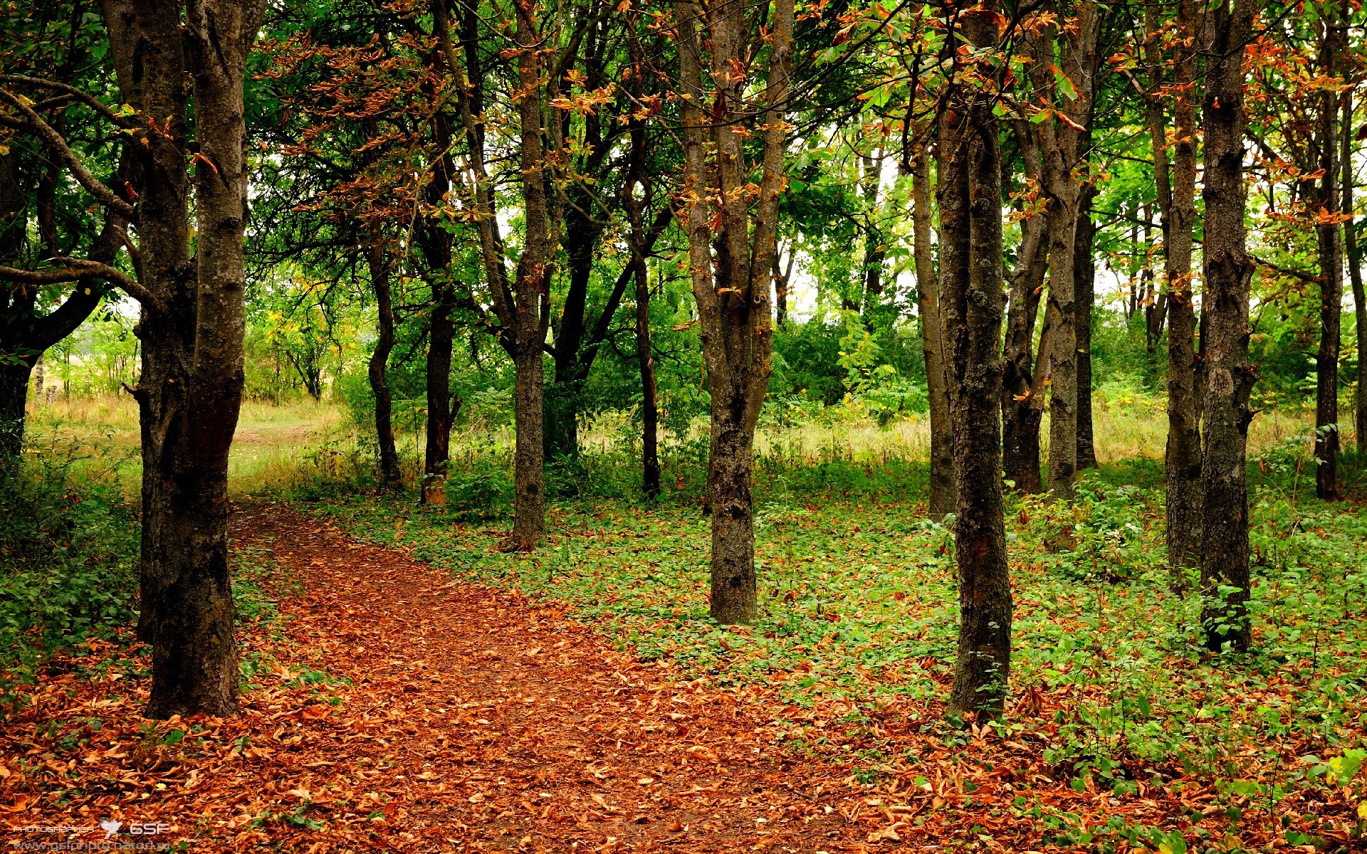 开云体育登录-前场三人压迫打出“倒金字塔”结构