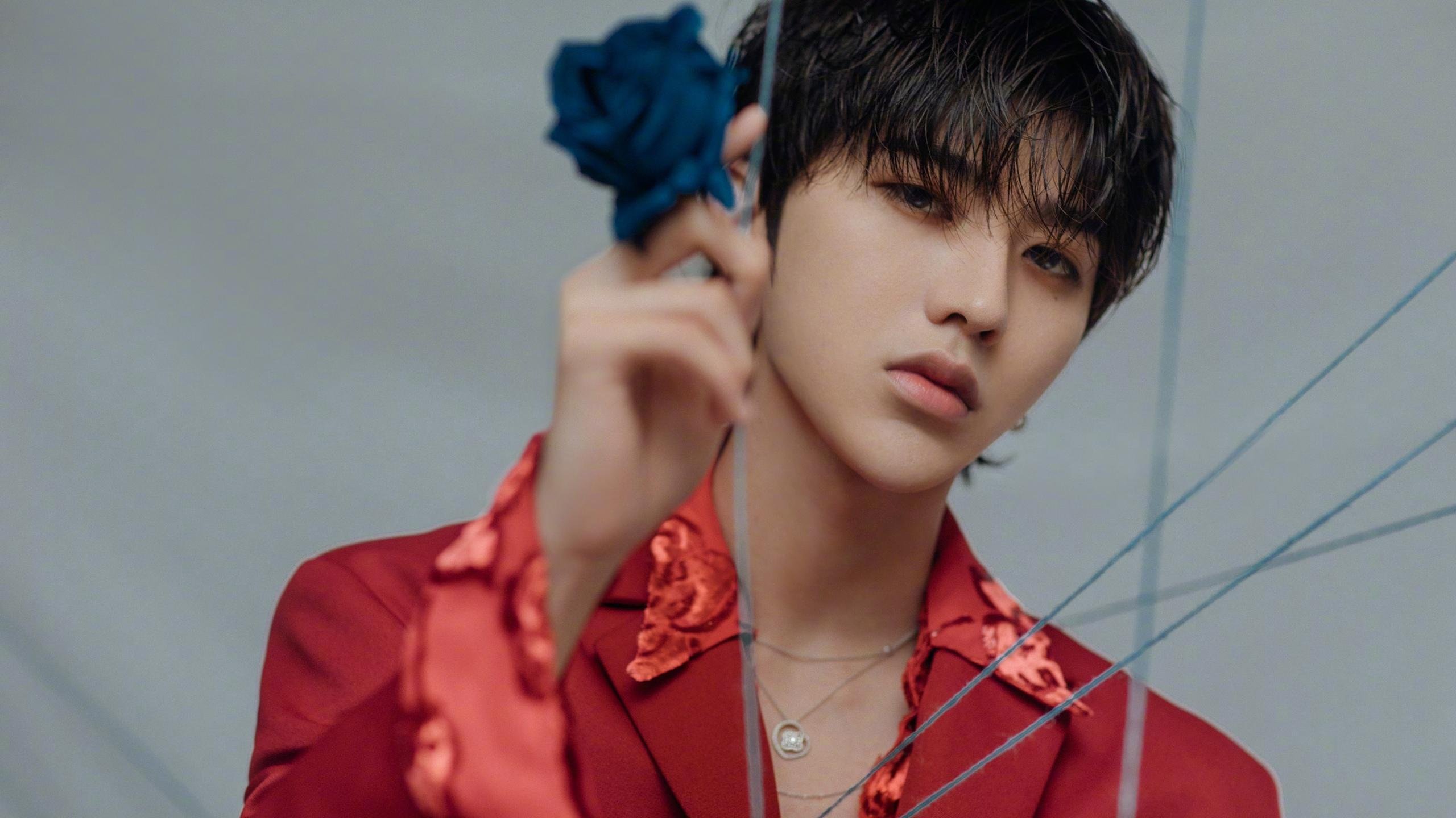 德国仰泳新秀步入国际视野,德国游泳水平如何