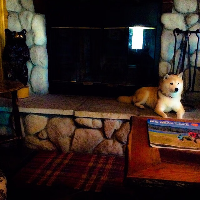 开云在线登入-拜仁控球压制战术击溃对手防线，拜仁防守