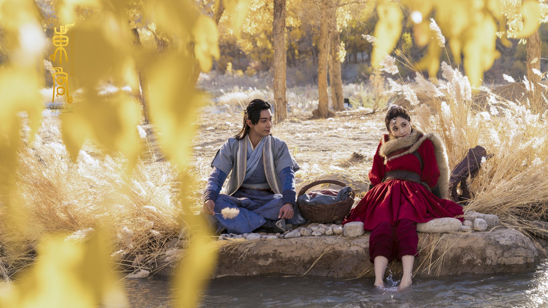 中小学篮球竞赛成绩纳入综合素质评估体系推动体教融合,中小学篮球比赛