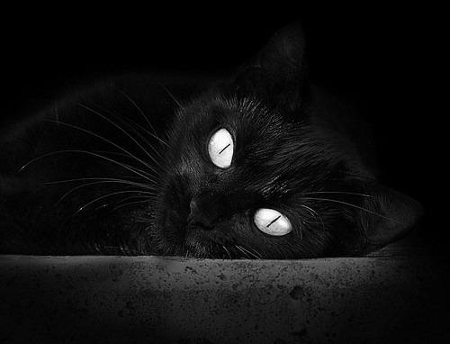 开云ky官网-卡萨斯决赛表现赢得教练高度评价，累卡萨斯