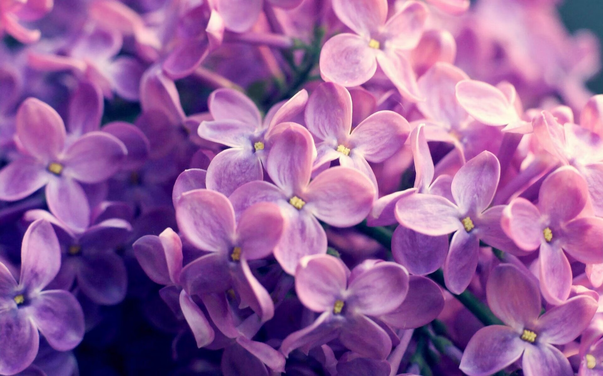 国家队开展跨项运动学习营引入其他项目思维方式,跨界跨项运动员