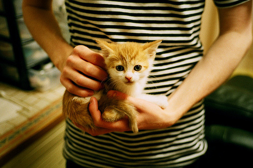 塞尔·拉恩:全黑队的进攻“快车道”,突破后的传球和得分能力让对手无可奈何