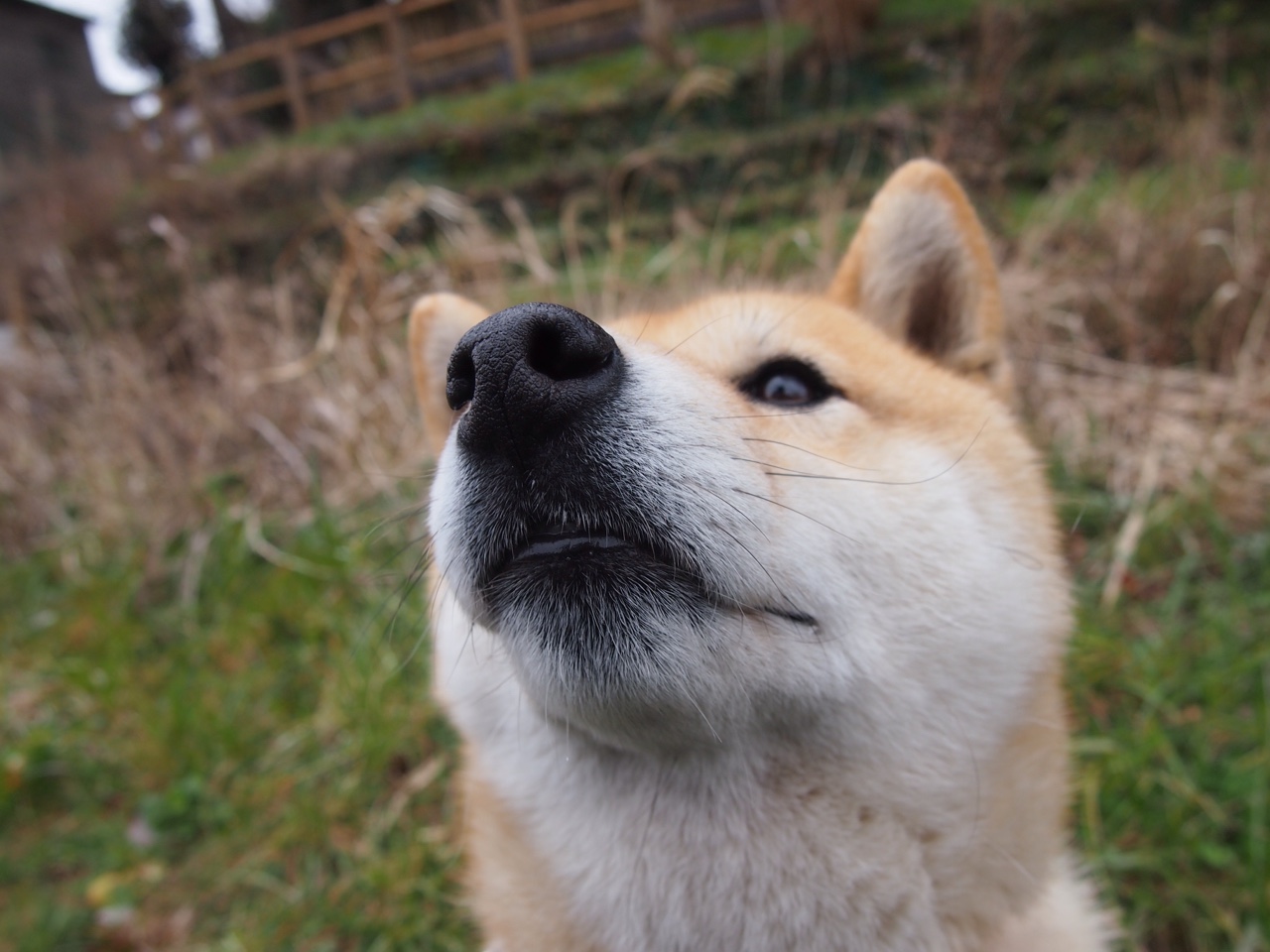 外援集中亮相CBA揭幕战表现抢眼拉动全场观赛热情,cba2022外援