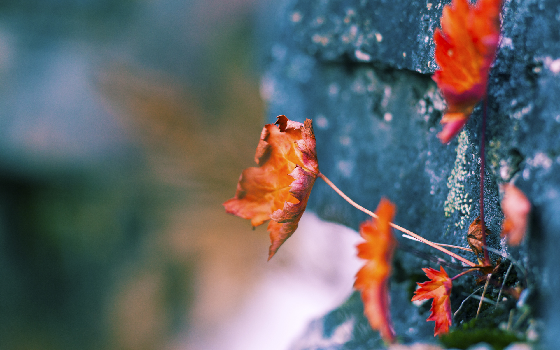 战术调整见成效多场比赛成功限制对手核心球员发挥,球员战术意识