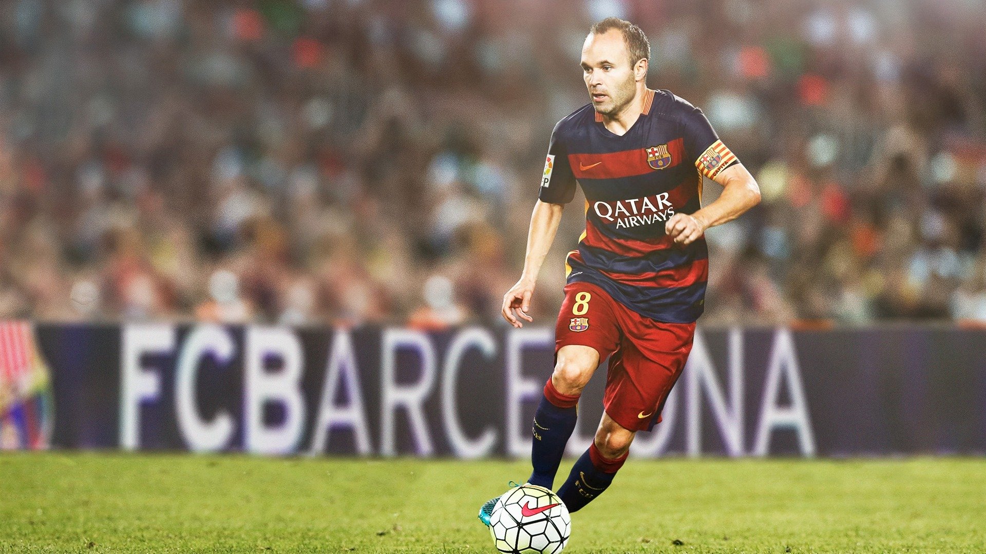 比利时女将自由泳短程展现爆发力,比利时女选手